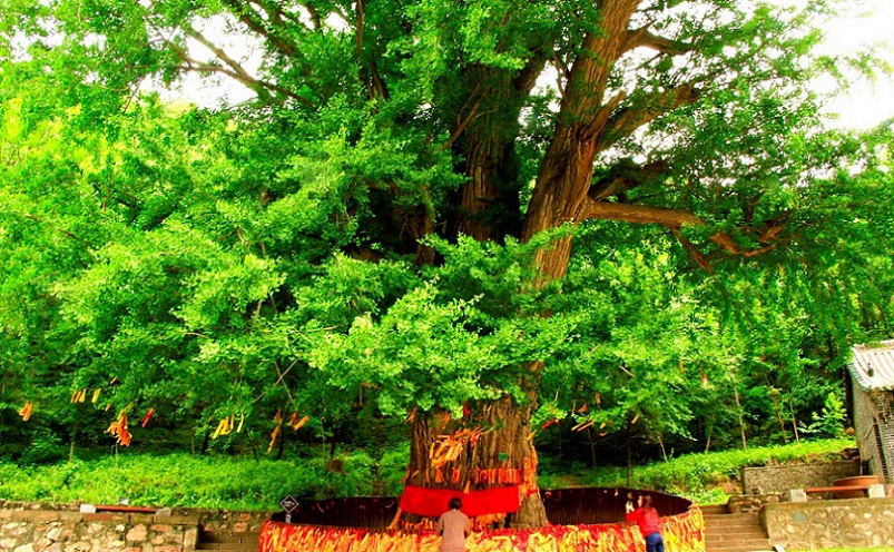 河南旅游必去十大景点推荐理由,推荐河南3个冷门县城