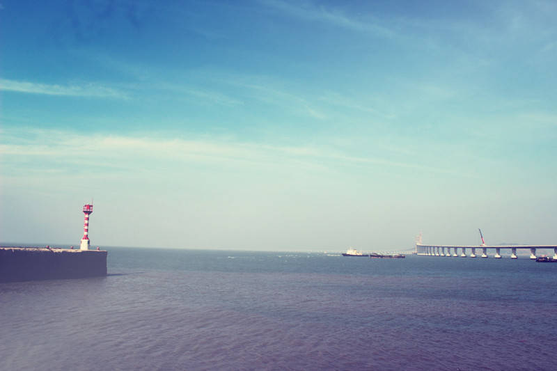 2023高考文科生应选哪些专业,2023高考学生适合报考的专业