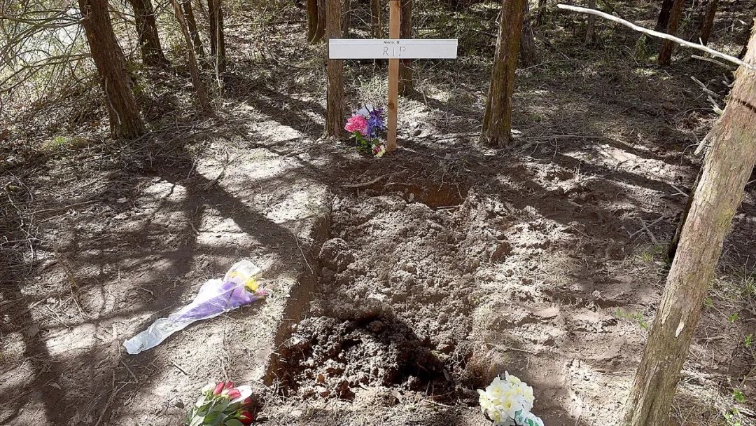 新婚妻子在美国失踪,美国华裔夫妇离奇失踪