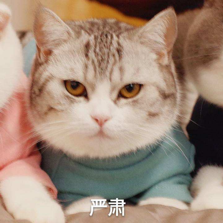 植美馥予产品适合干皮用么,植美馥予护肤品效果怎么样