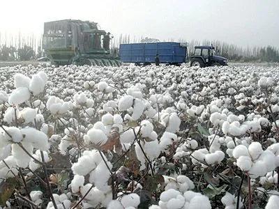 面对严峻复杂的国际疫情,面对越来越严峻的疫情形势