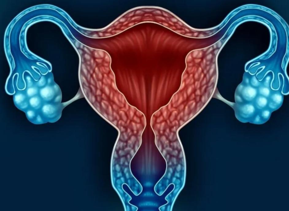 为何很多男人“热衷”*生活性**？无非是这4个原因，女性也无需害怕