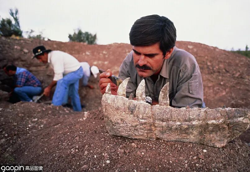 侏罗纪世界进化3恐龙打架,恐龙电影侏罗纪3