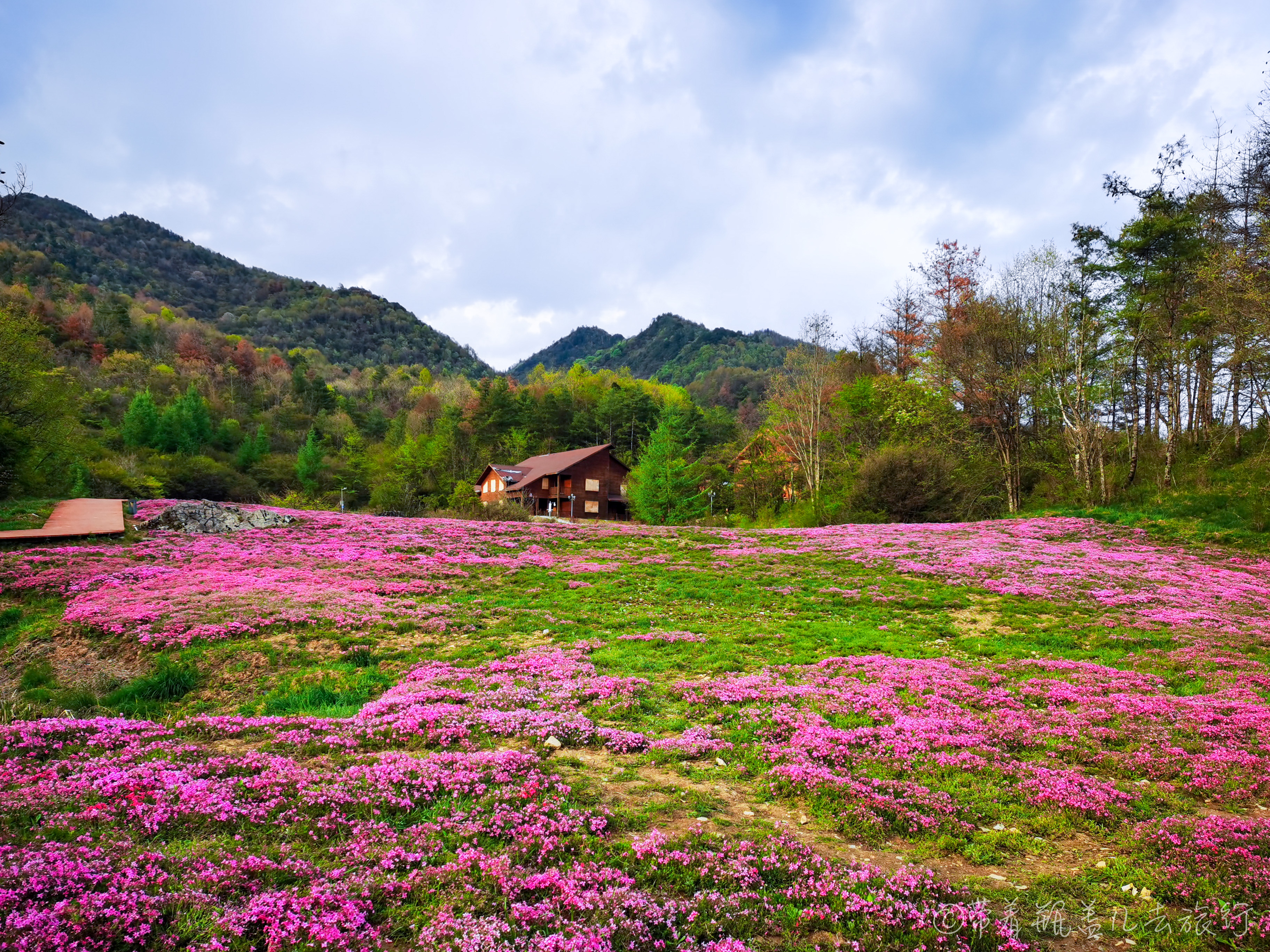 巫溪红叶自驾游,巫溪红池坝云中花海景点讲解