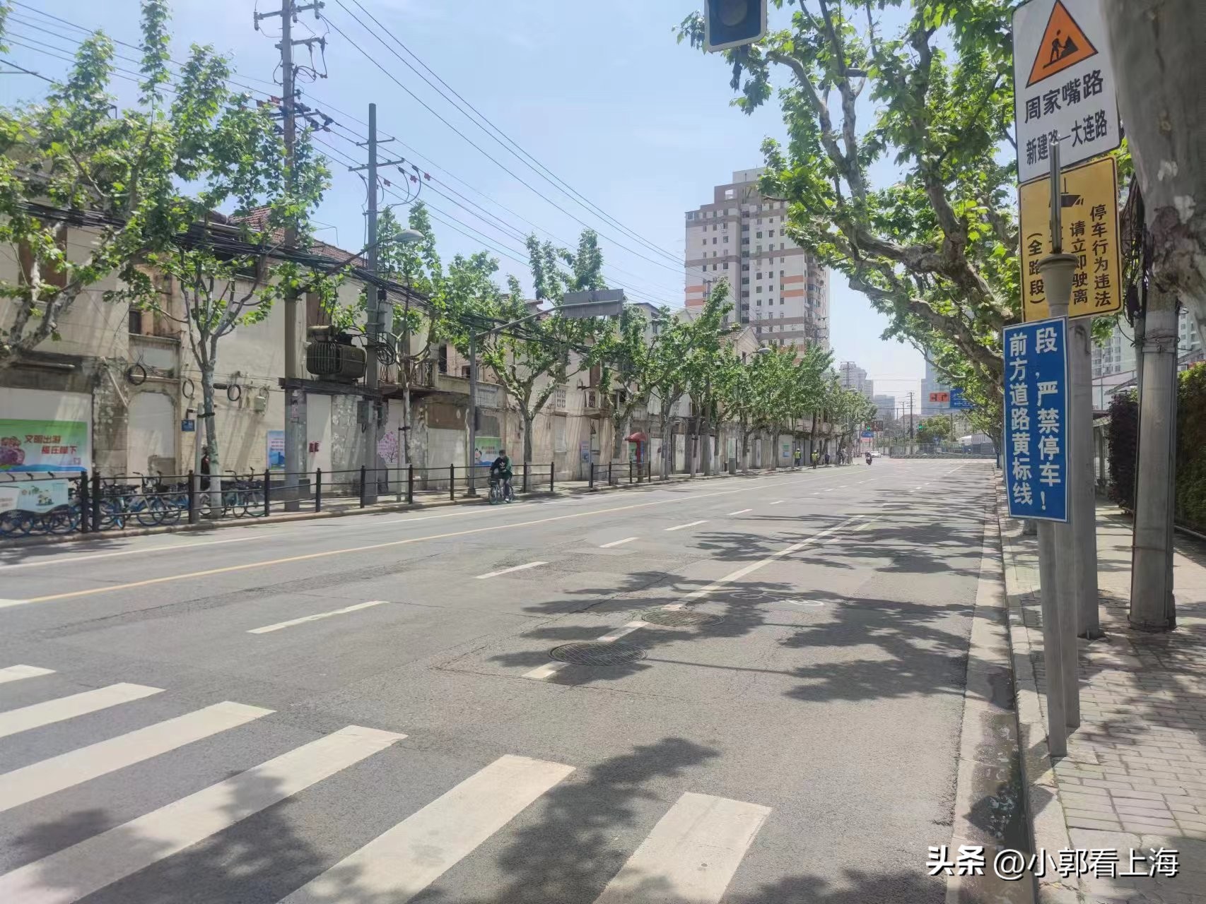 上海19和20号线虹口规划,上海19号线虹口段地铁线路图