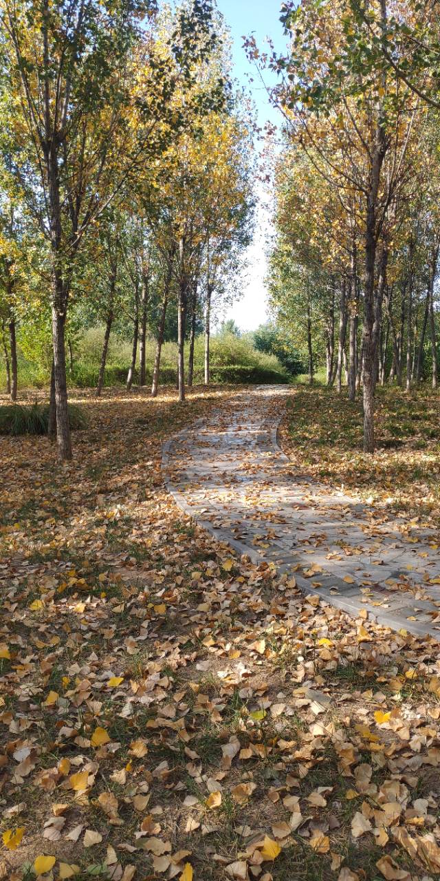 绿野堂轶事“逸足换名姝”