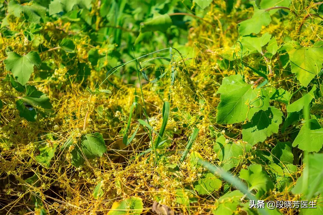 高龄促排容易流产吗,多次促排怀不上