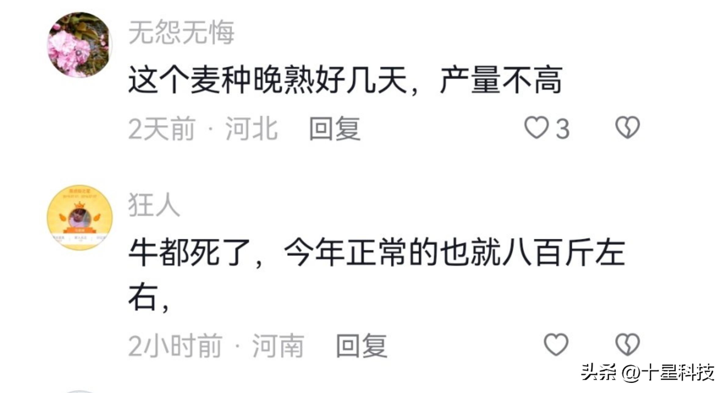 让农民的粮食能卖上好价钱,让农民的农产品卖出去