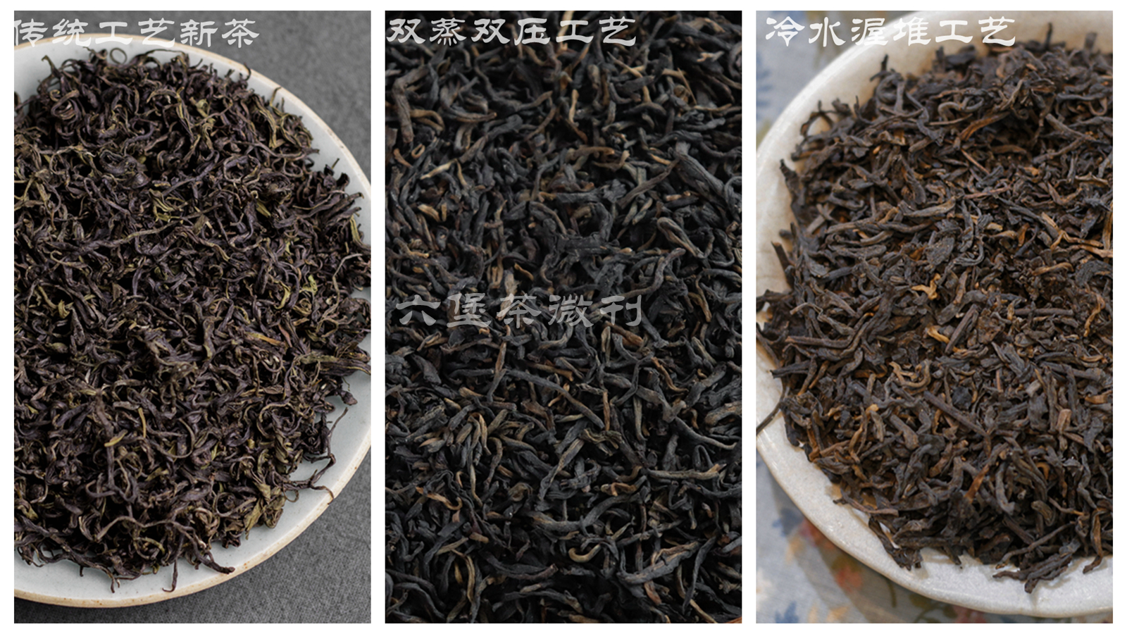 广西六堡茶与普洱熟茶,六堡茶和金花茯砖有什么区别吗