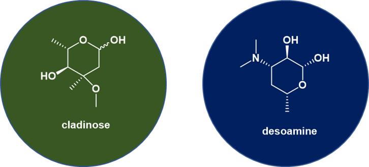 大环内酯（Macrolides）类抗生素药物综述