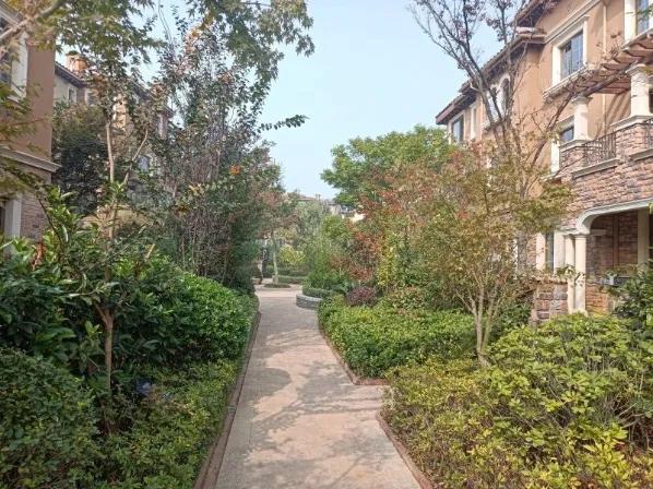 武汉纳帕溪谷房价,武汉纳帕溪谷精装