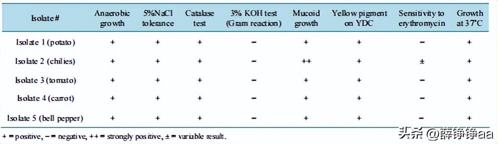 番茄青枯病害鉴别,分离番茄茎腐病真菌的方法