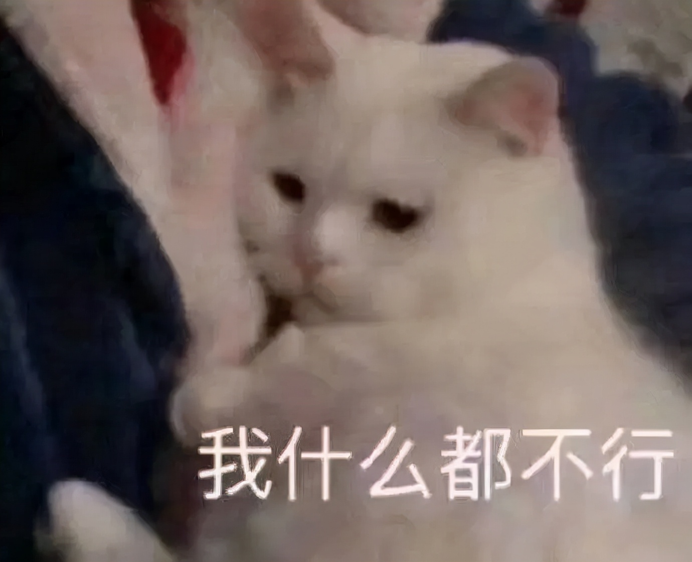 如何高效的学习计算机编程,编程高效入门