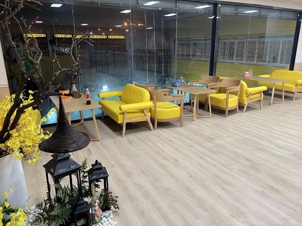 厦门小型宠物寄养店在哪里,厦门宠物专业寄养中心电话