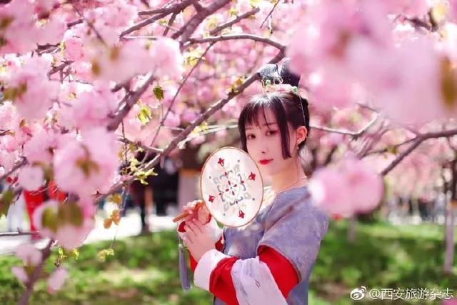 旅行西安华清宫,西安华清宫旅游购票