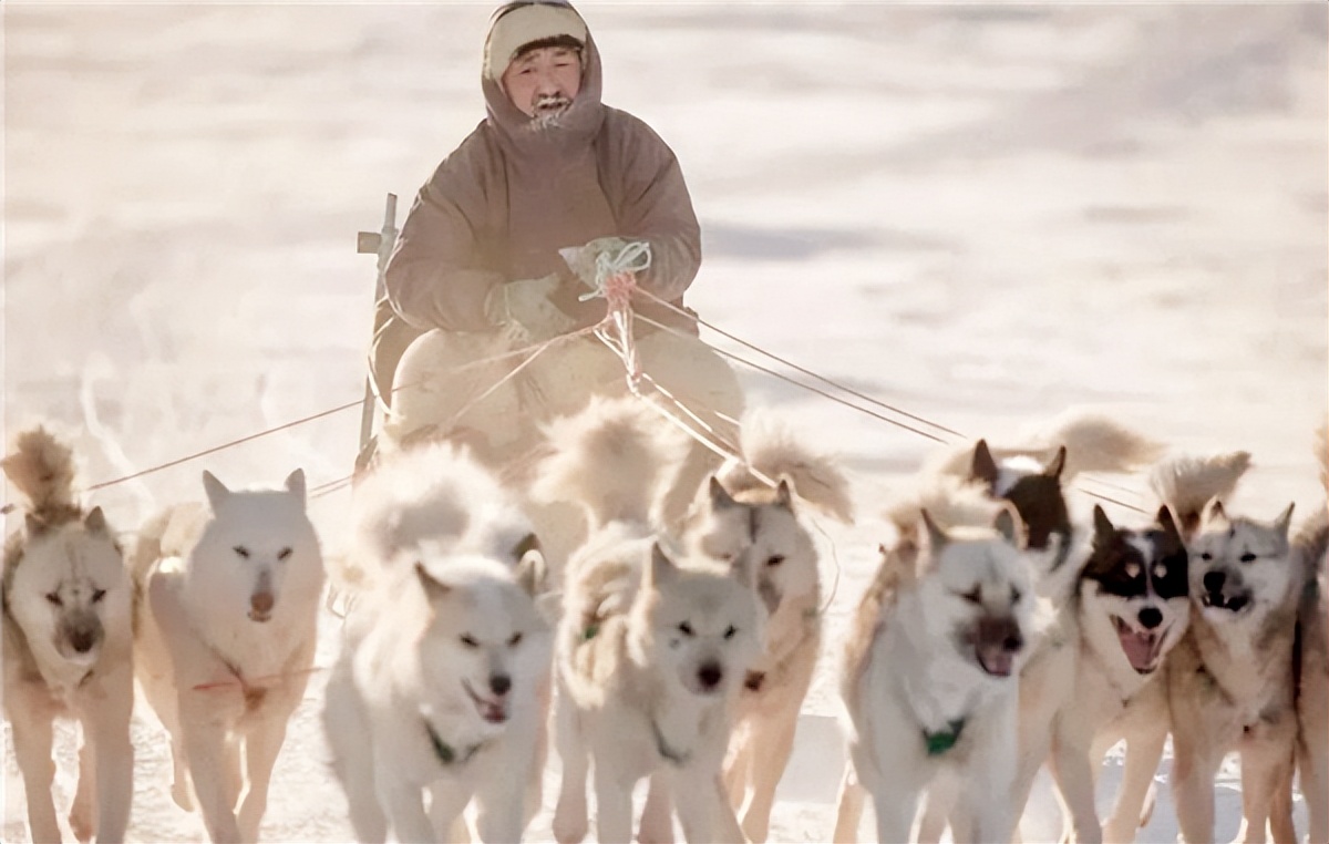 爱斯基摩人待客之道,爱斯基摩人有抛弃老人的习俗吗