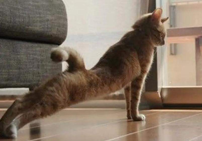 人过六十不做五件事,人过60六不想