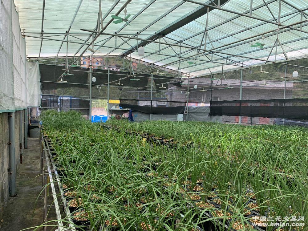 80鍚庡皬浼欏吇鍏扮殑骞冲焊鐢熸椿,90鍚庡吇鍏颁汉鎴愬姛妗堜緥