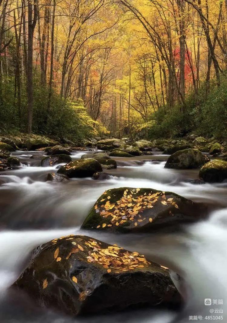 画意风光,画意风光摄影