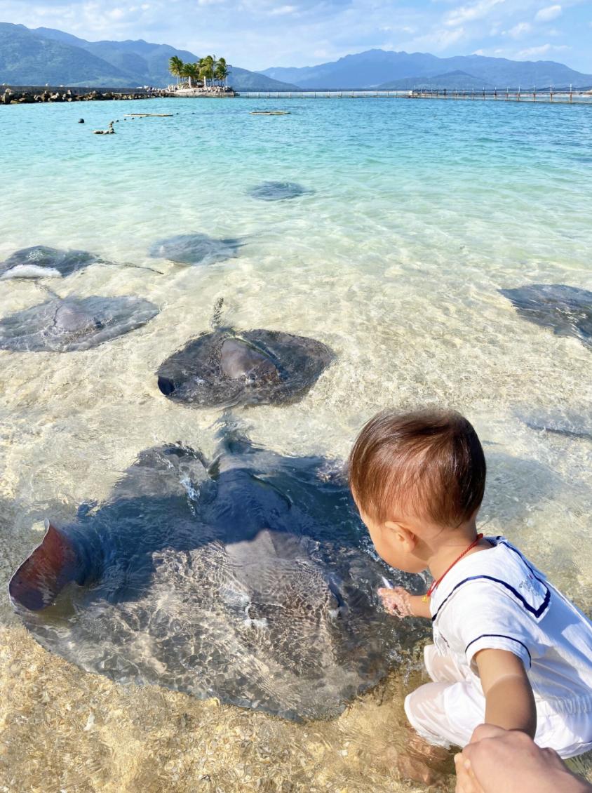 足球那不勒斯佛罗伦萨,足球那不勒斯