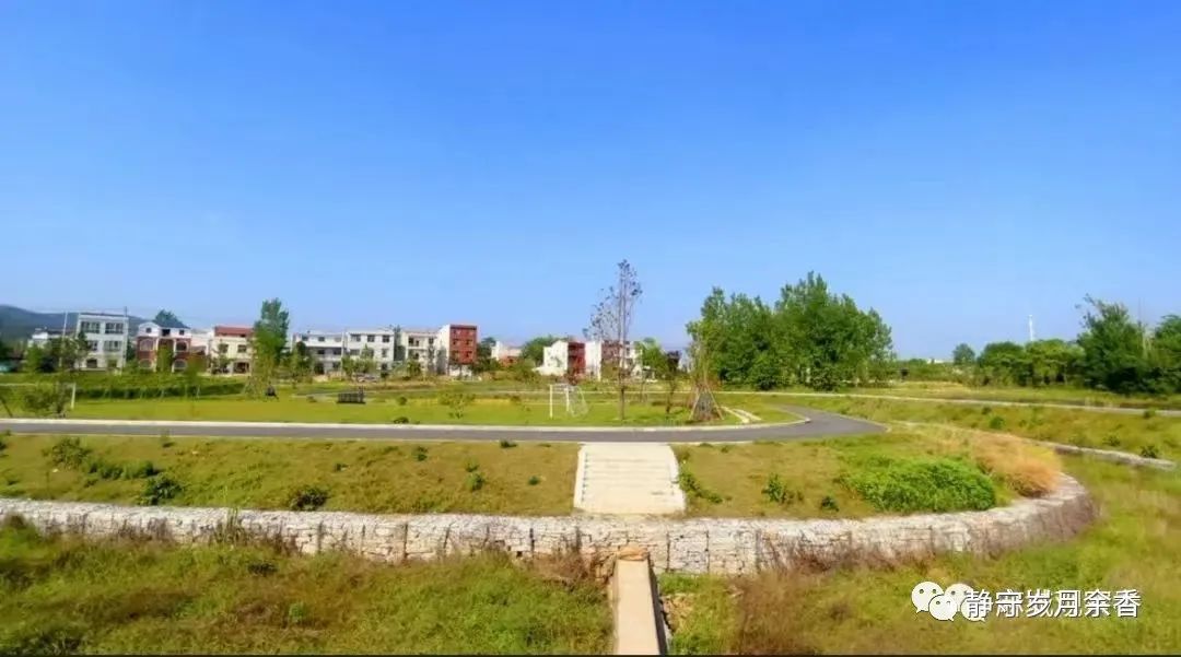 李文涛摄影,李文涛艺术签名