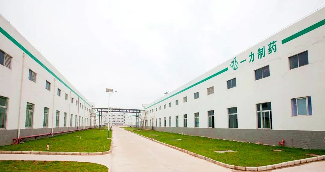 南药产业发展情况总结,南药产业项目规划