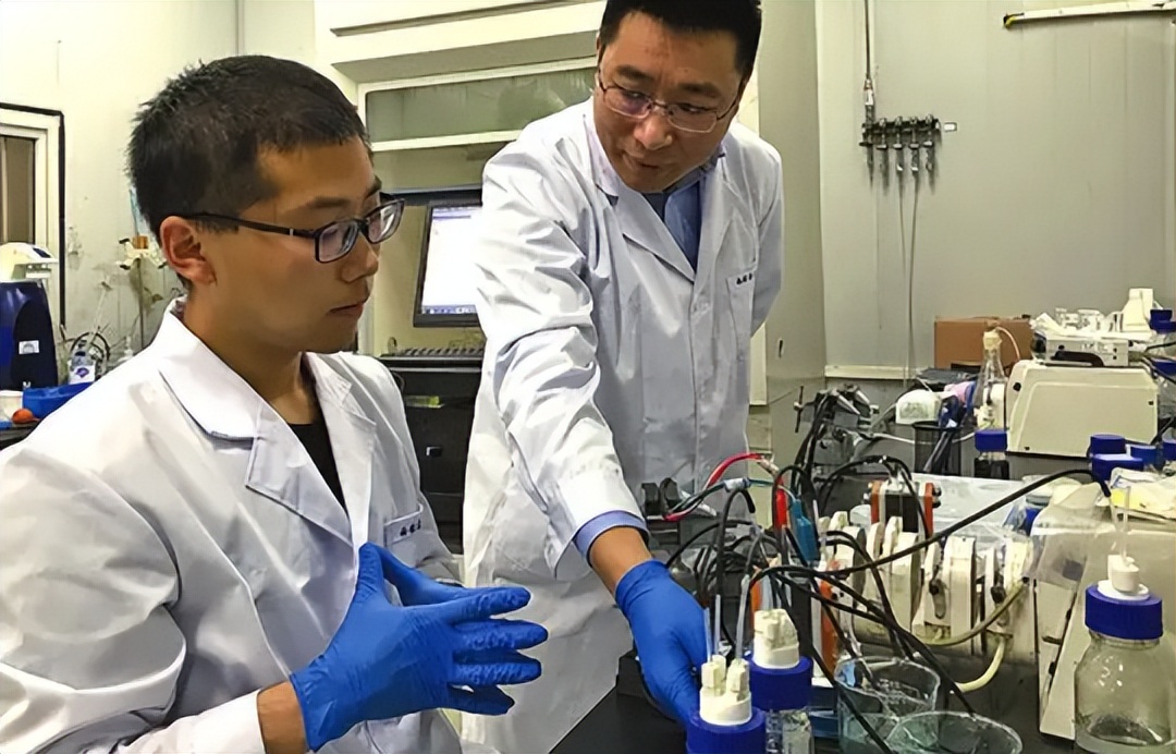 环材生化专业就业率,大学专业里的生化环材是哪些专业