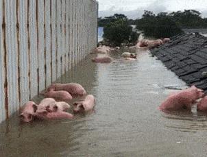 上课衣服穿反怎么办,上课忘记穿裤子该怎么办