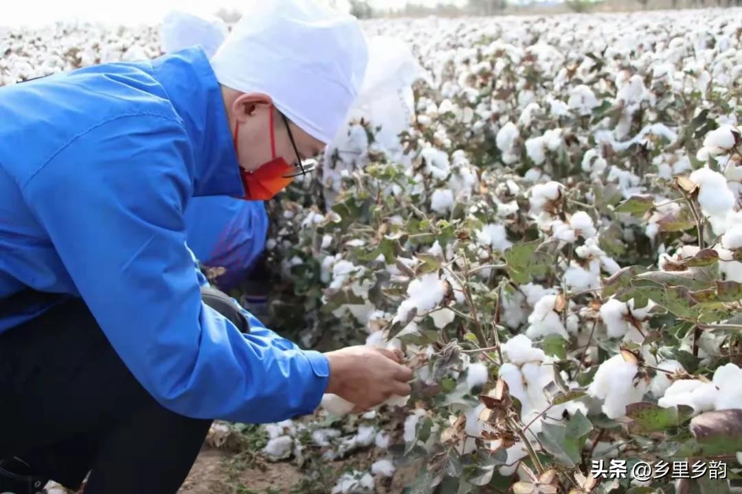 新疆南疆好挣钱吗,新疆南疆的钱好挣吗
