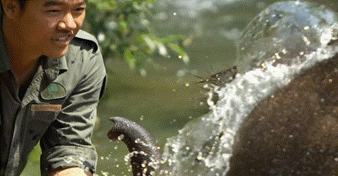 景洪夜景最好的地方,景洪边境是在什么地方