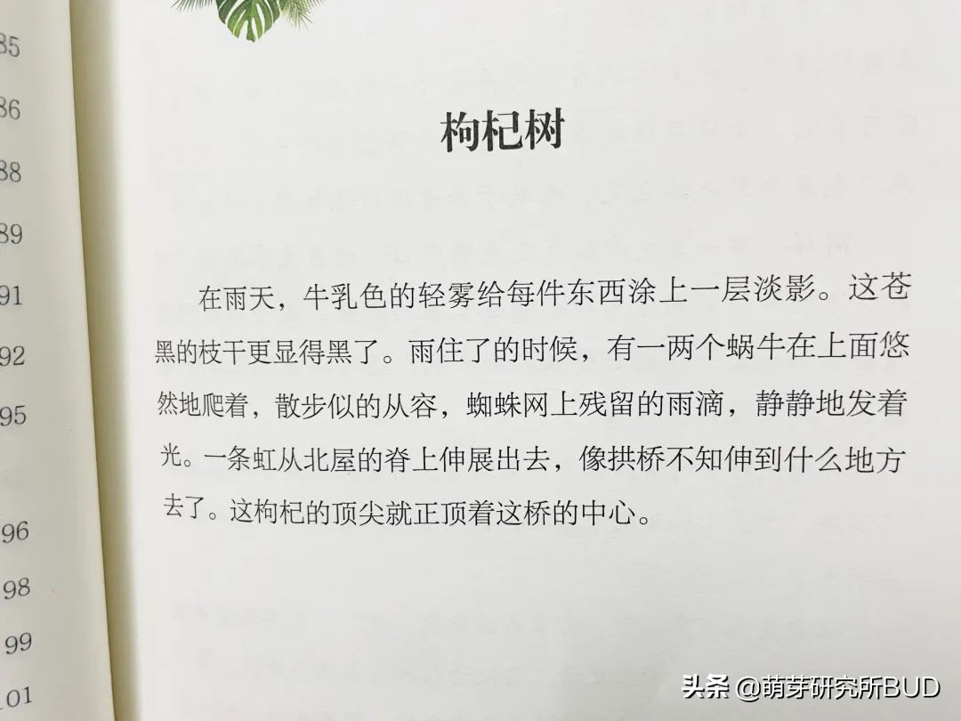 让孩子自己写好作文,怎样帮助孩子写好作文