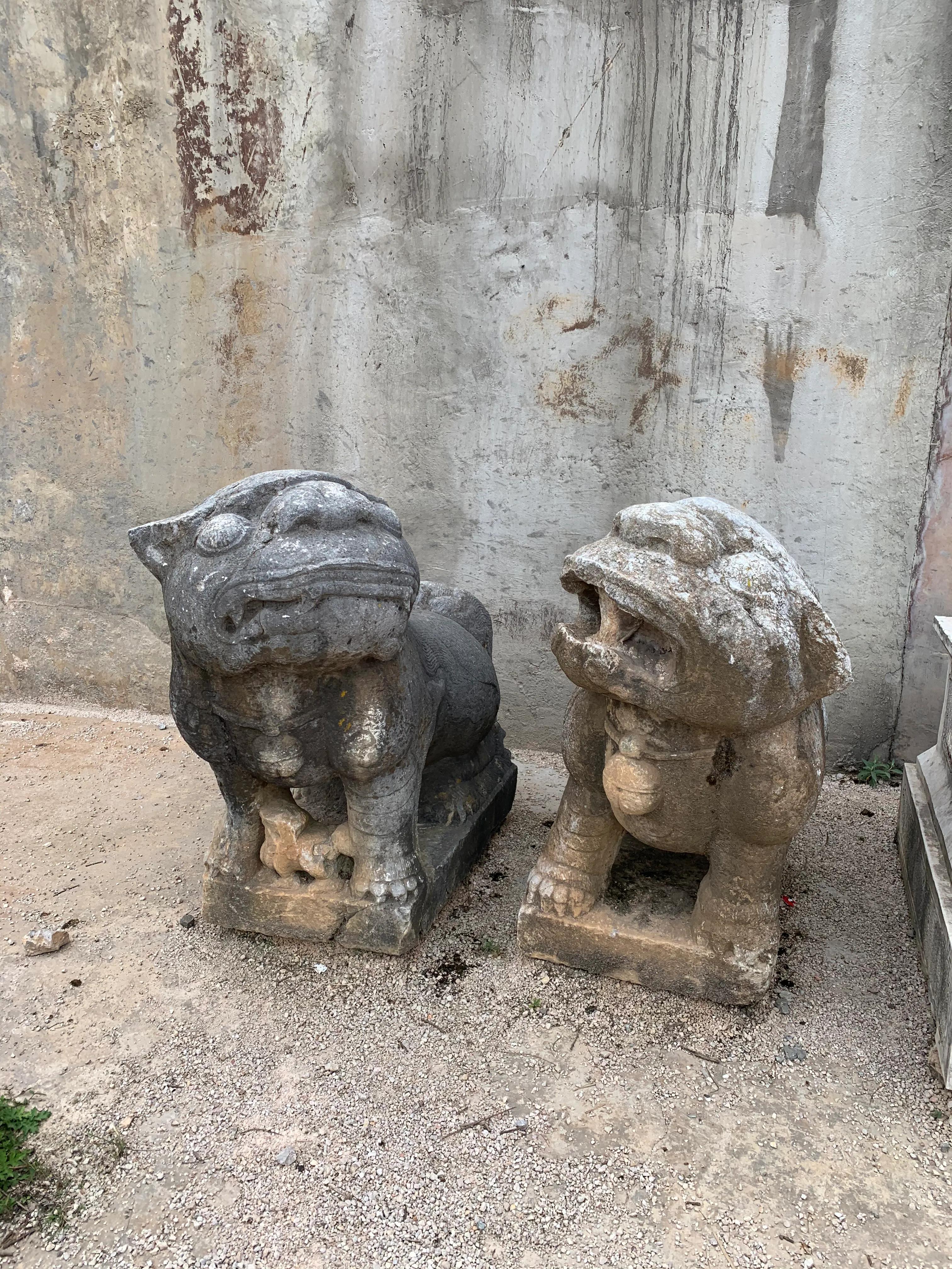 会泽县废弃矿山,云南南屏铅锌矿2024现状