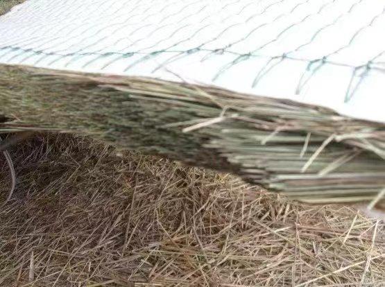 铁道兵红色记忆,铁道兵记忆大全