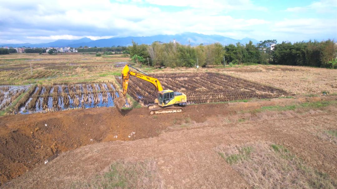 三农洞察小龙虾养殖,2022小龙虾养殖业形势预判