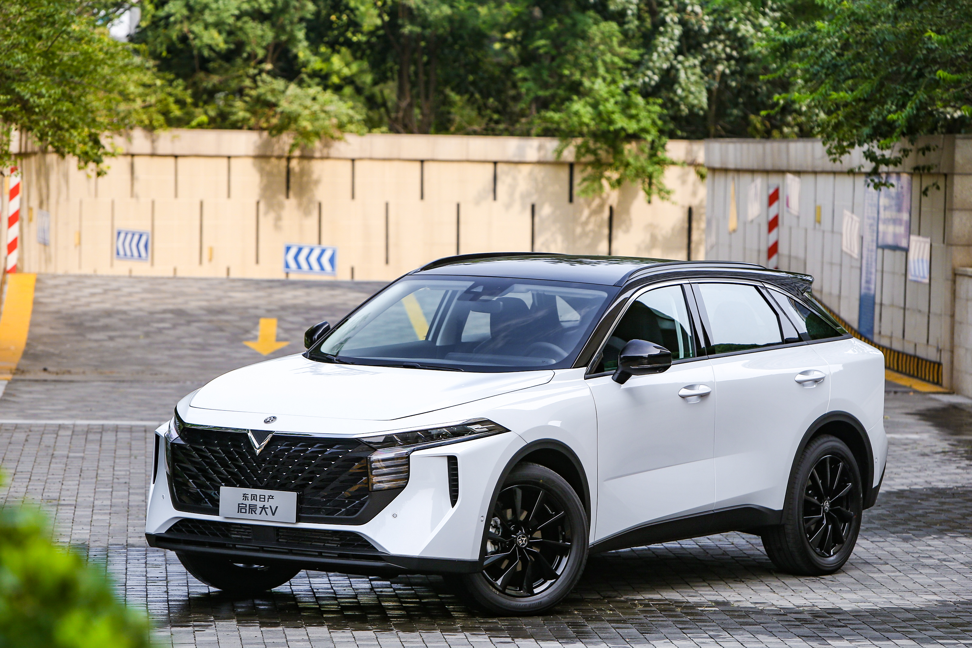 启辰大v良心评测,启辰大v2024款新星版值得购买吗