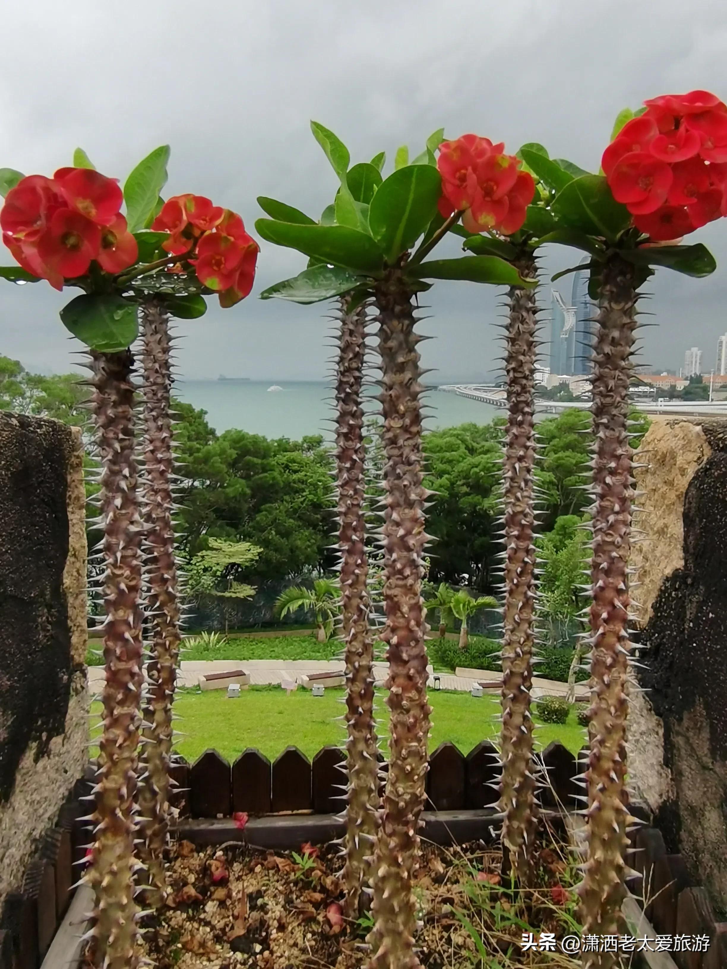 厦门3天2晚自由行1299,厦门旅游攻略3天2晚自由行2月