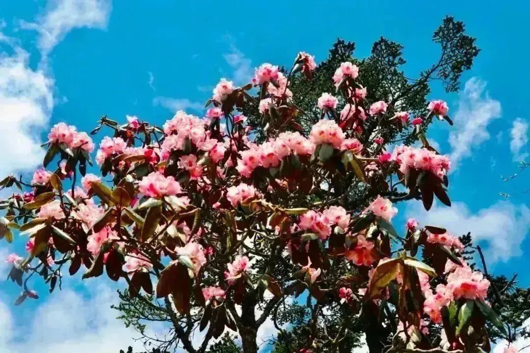 最新甘孜自驾路线三天,甘孜自驾4天路线