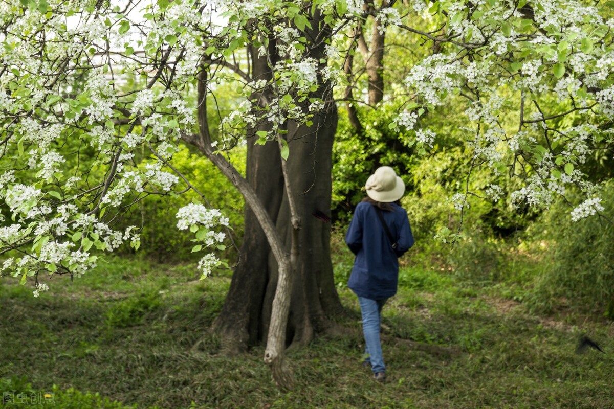 女性为什么会长胡子有什么办法,女生为什么会长胡子而且很严重