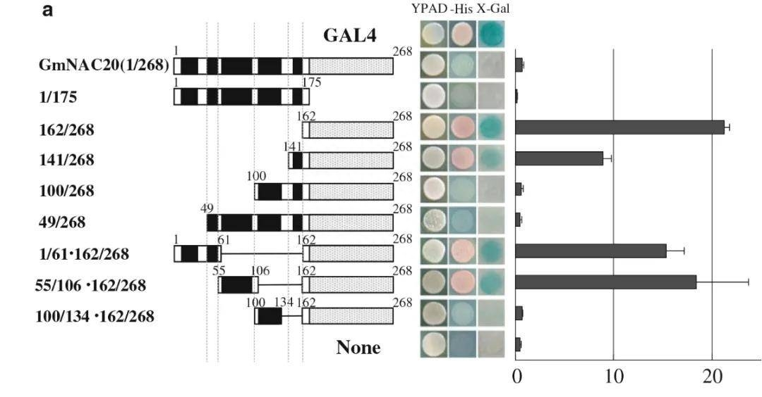 如何使用EOSM290机器，在不同加工条件中，制造出极端形状的薄壁