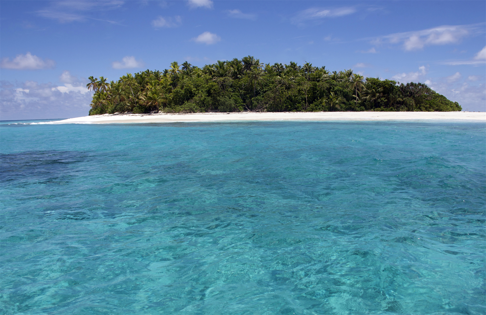 最适合华人移民的国家排名斐济,斐济绿卡免签国家一览表