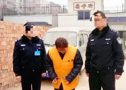 被拐女孩程颖现状,西安被拐女孩程颖上网寻亲生爸妈