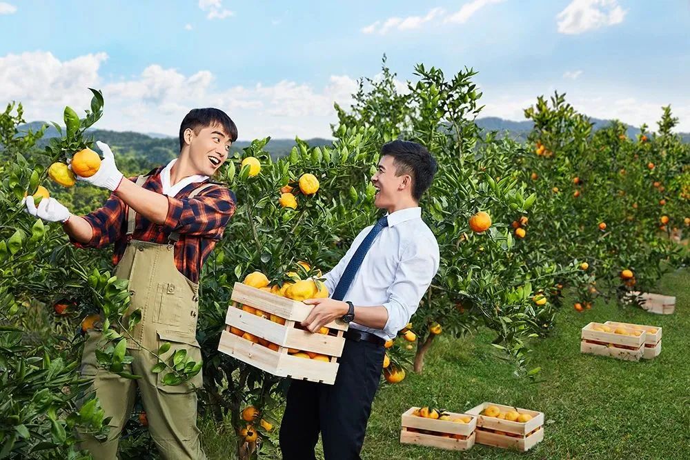 泰隆银行和民泰银行对比,杰出雇主