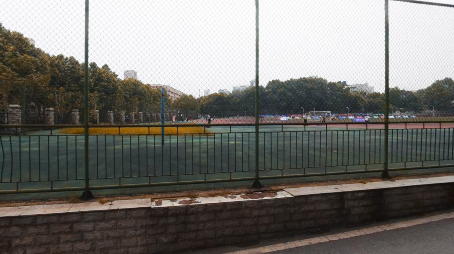 武汉城市学院梧桐树,武汉被高校环绕的景区