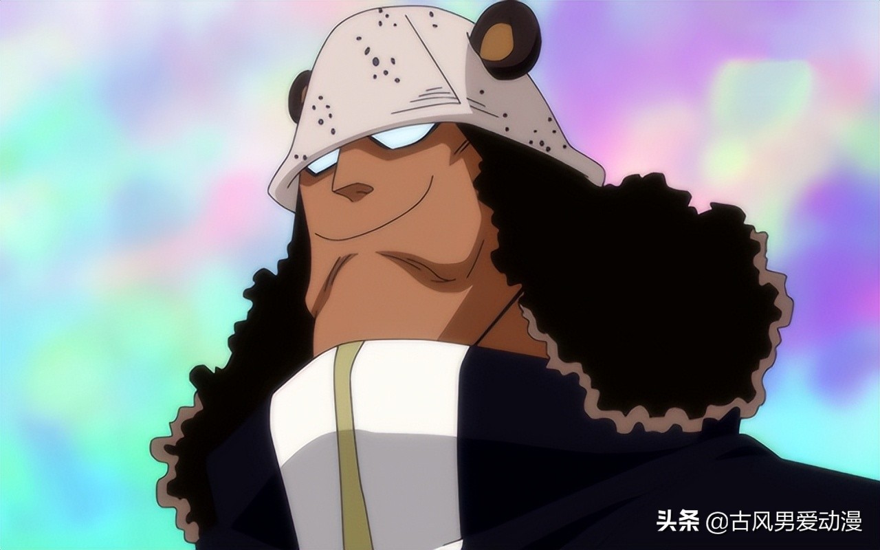 海贼王七武海被废除是第几集,海贼王七武海熊为什么要救路飞