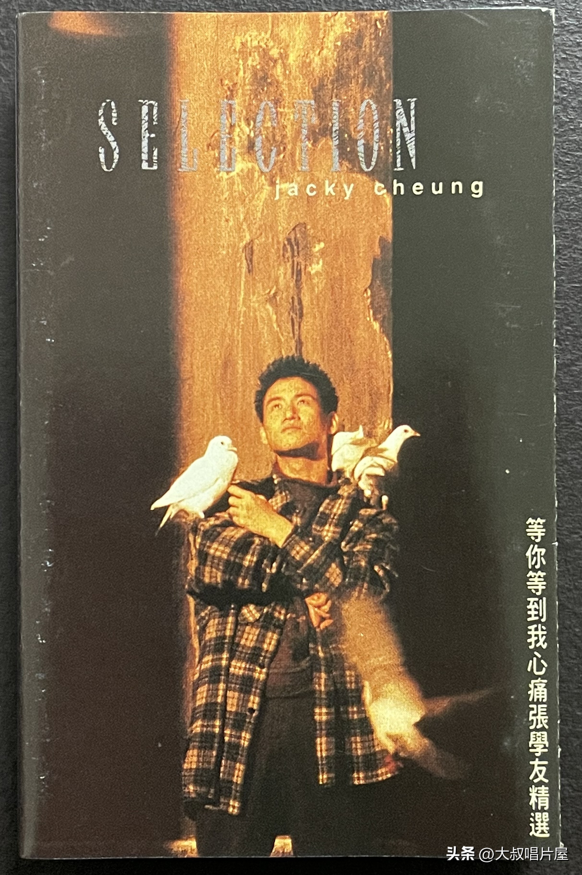 1993年中国神曲,1993年华语乐坛神曲大爆发