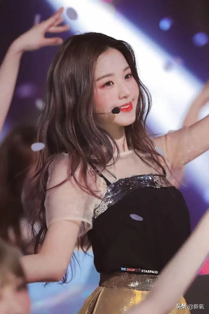 椰树老板和韩国财阀,韩国财阀山西煤老板