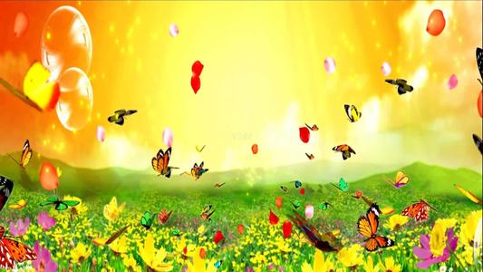 兴趣是最好的老师作文600字,兴趣作文中考范文