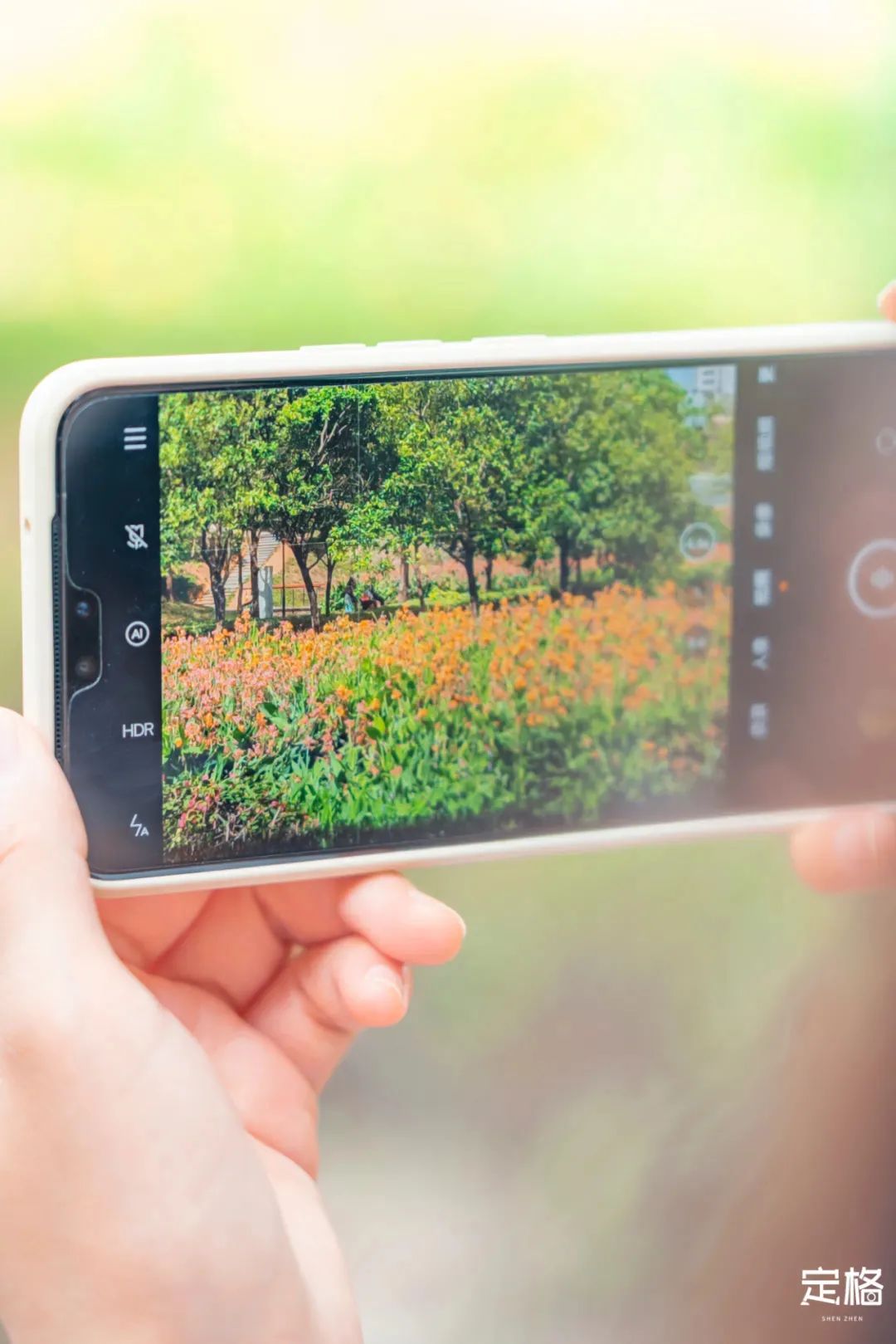 深圳3月14个赏花胜地全部免费,深圳清明节踏青赏花好去处