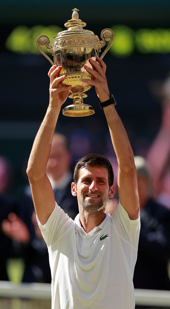 德约科维奇大满贯冠军数量,德约科维奇24个大满贯分布图