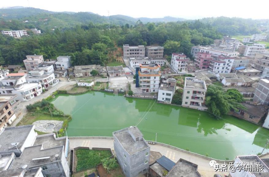 梅州市五华县莲高村,梅州市五华县华阳莲高村